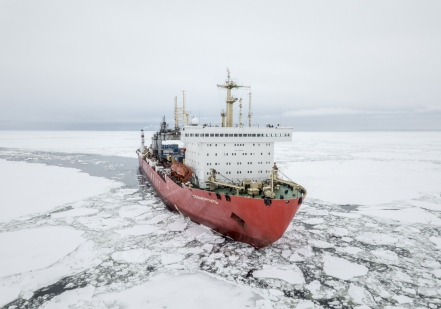 Атомный контейнеровоз «Севморпуть» доставит мороженную рыбу из порта Петропавловск-Камчатский в Санкт-Петербург