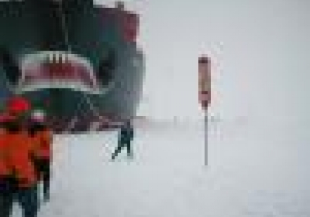 Арктика без туристов